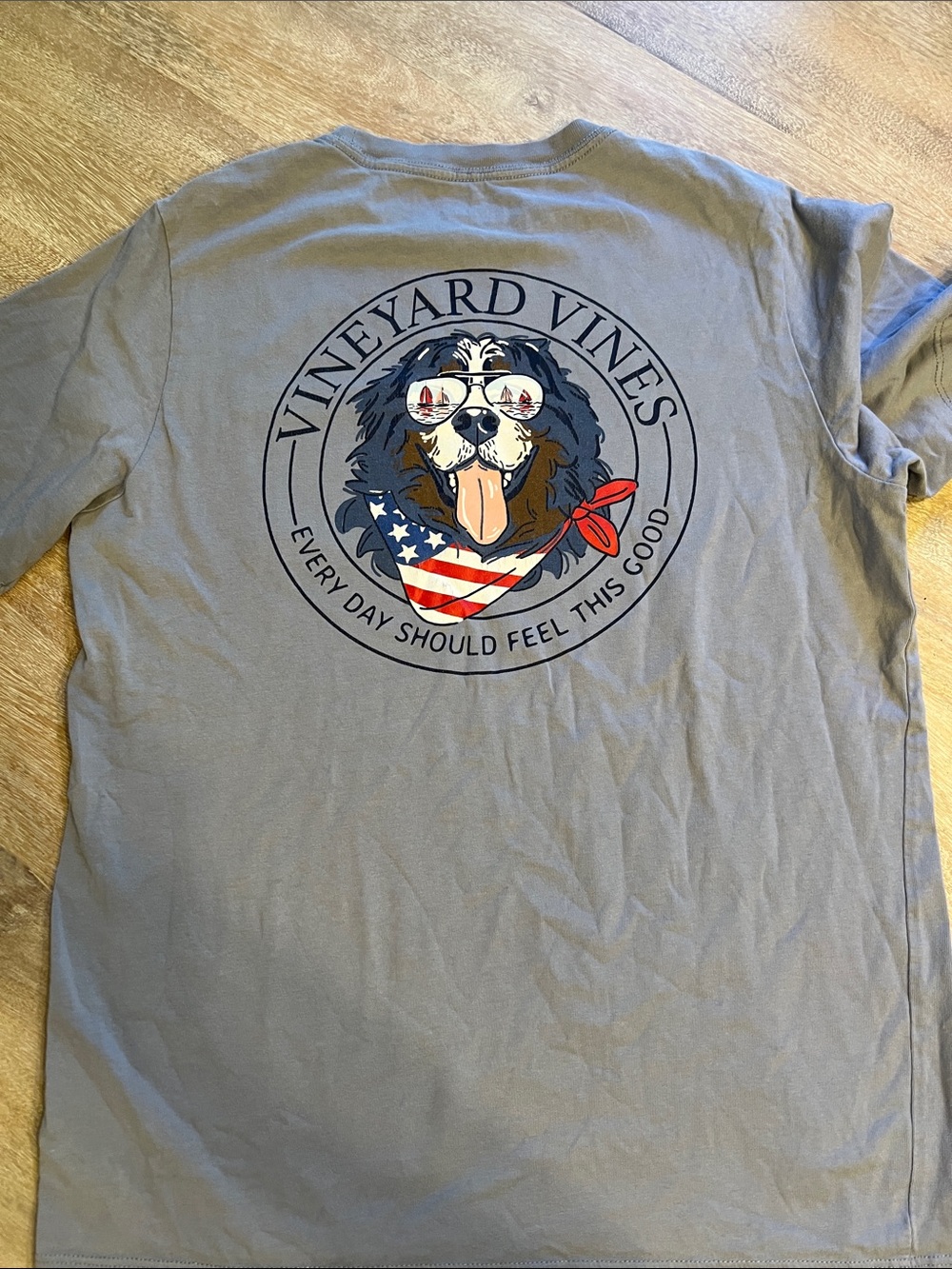 Vineyard a vines boys large 16 tee GUC+